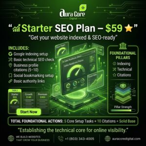 Starter SEO Package – 165 SEO Backlinks for Fast Indexing